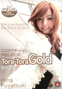 Tora-Tora Gold Vol.22
