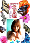 素人シリーズ 花と蝶 Vol.331